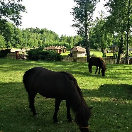 Mazowieckie Sioło Julianówka