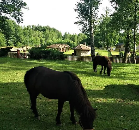 Mazowieckie Siolo Julianowka